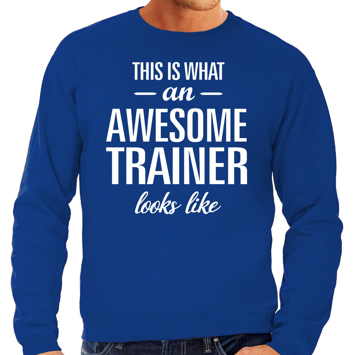 Awesome / geweldige trainer cadeau sweater blauw heren