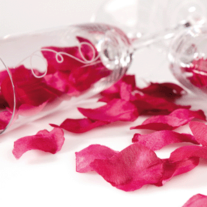 Valentijnscadeau voordelige rode roos met bordeaux rozenblaadjes