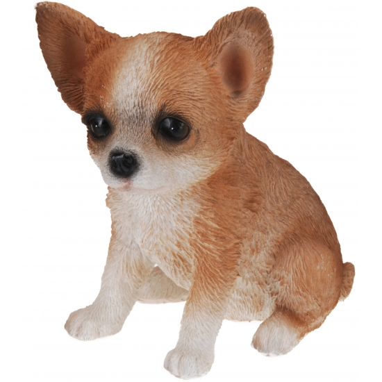 Chihuahua honden beeldje voor binnen 17 cm
