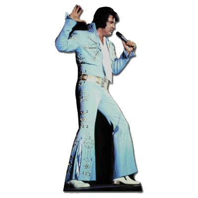 Decoratie plaat van Elvis Presley