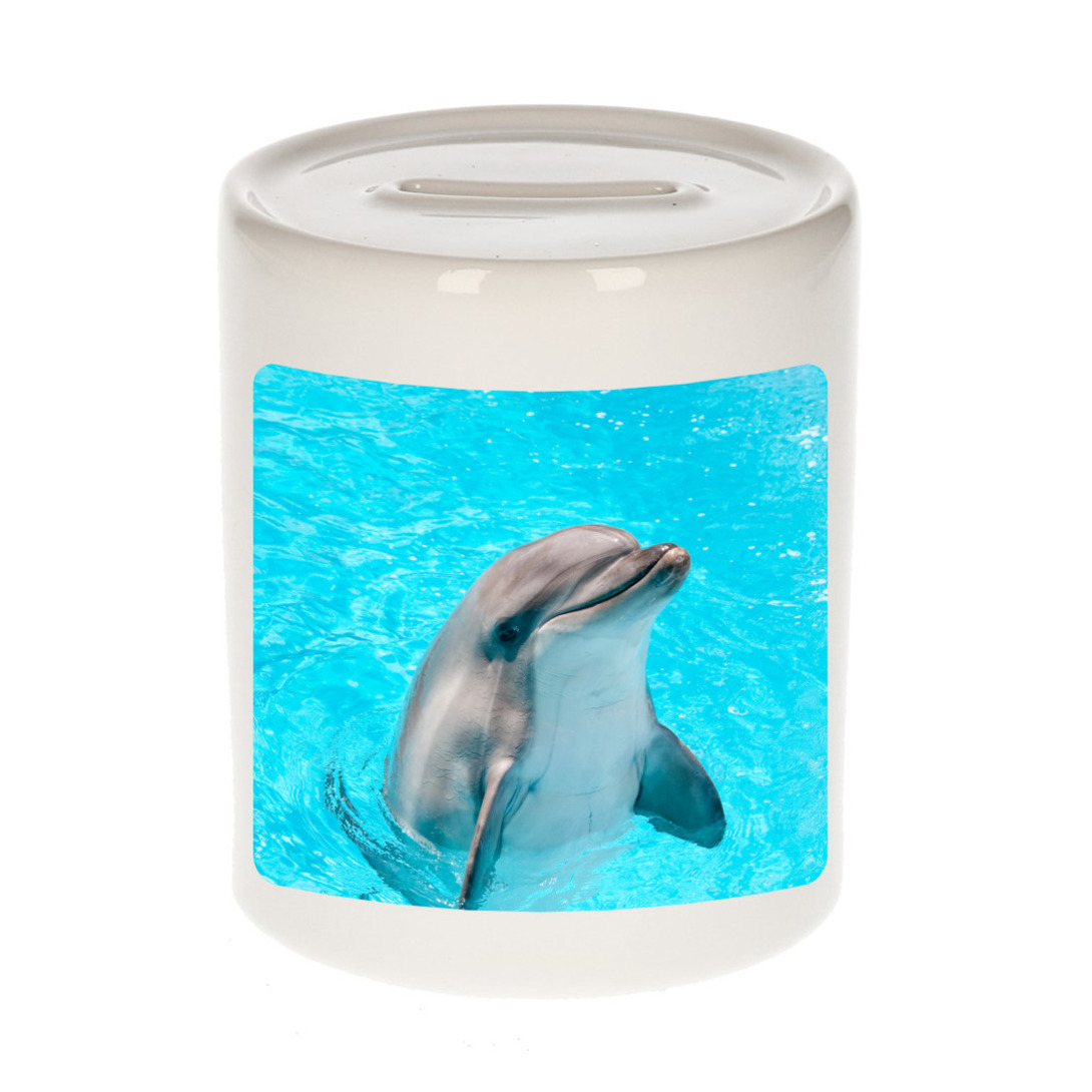 Dieren foto spaarpot dolfijn 9 cm - dolfijnen spaarpotten jongens en meisjes