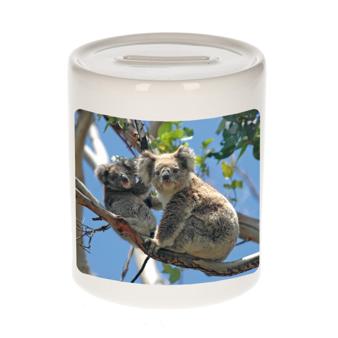 Dieren foto spaarpot koala beer 9 cm - koalaberen spaarpotten jongens en meisjes