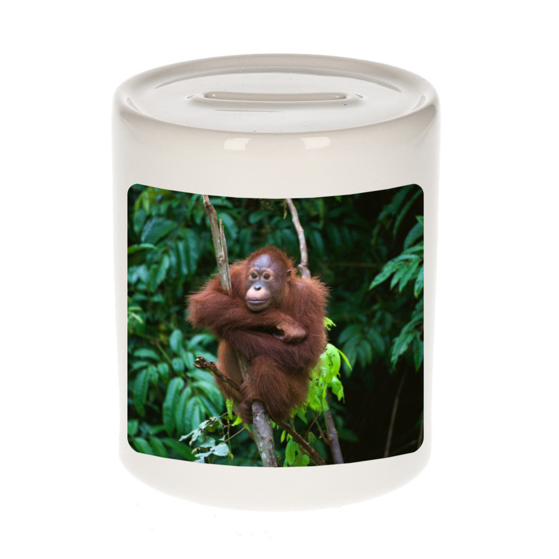 Dieren foto spaarpot orangoetan 9 cm - apen spaarpotten jongens en meisjes