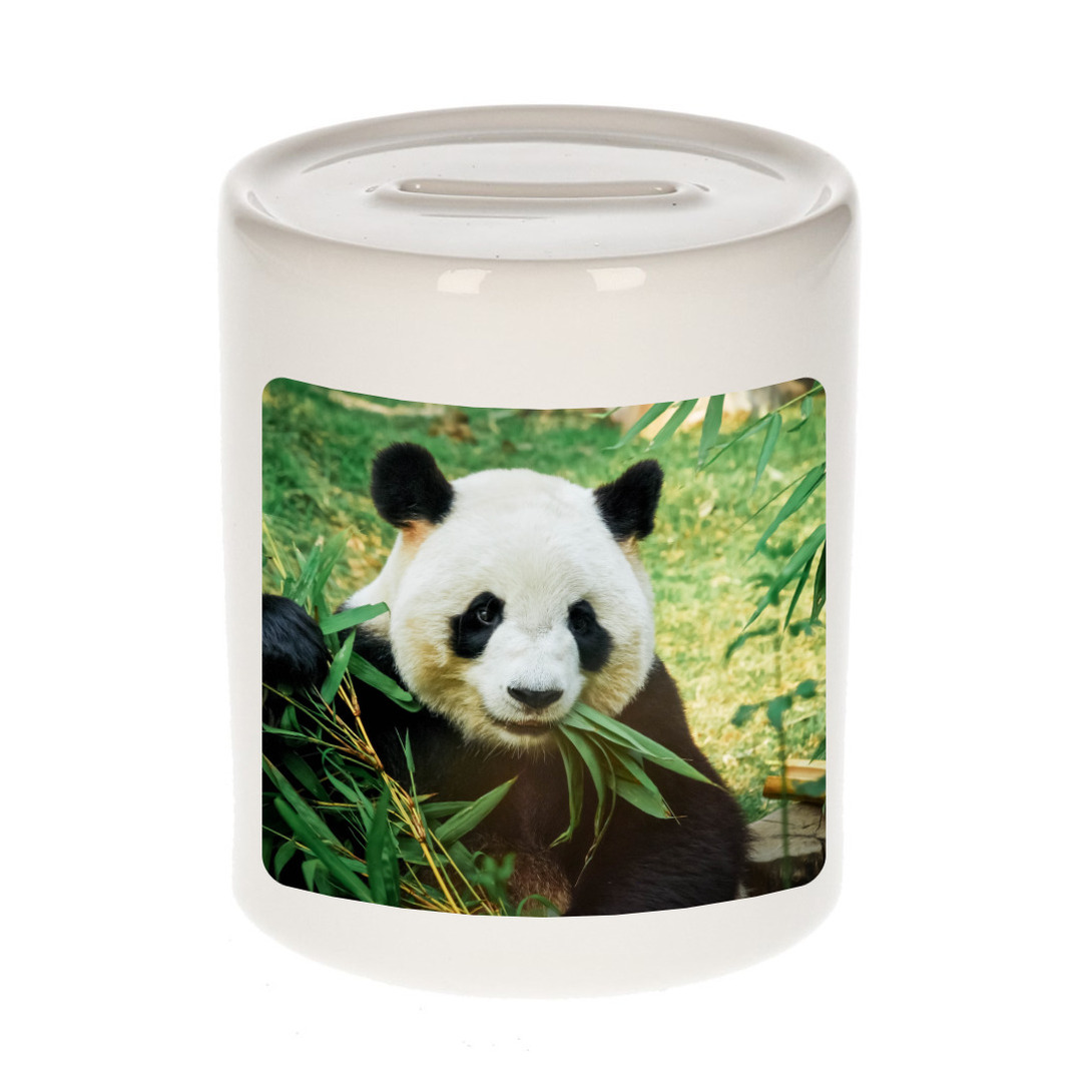 Dieren foto spaarpot panda 9 cm - pandaberen spaarpotten jongens en meisjes