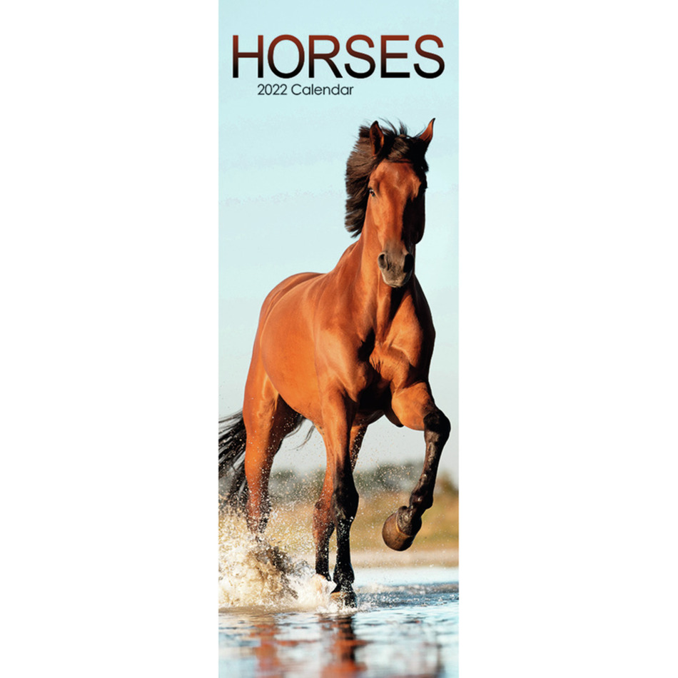 Dieren kalender 2022 paarden 15 x 42 cm