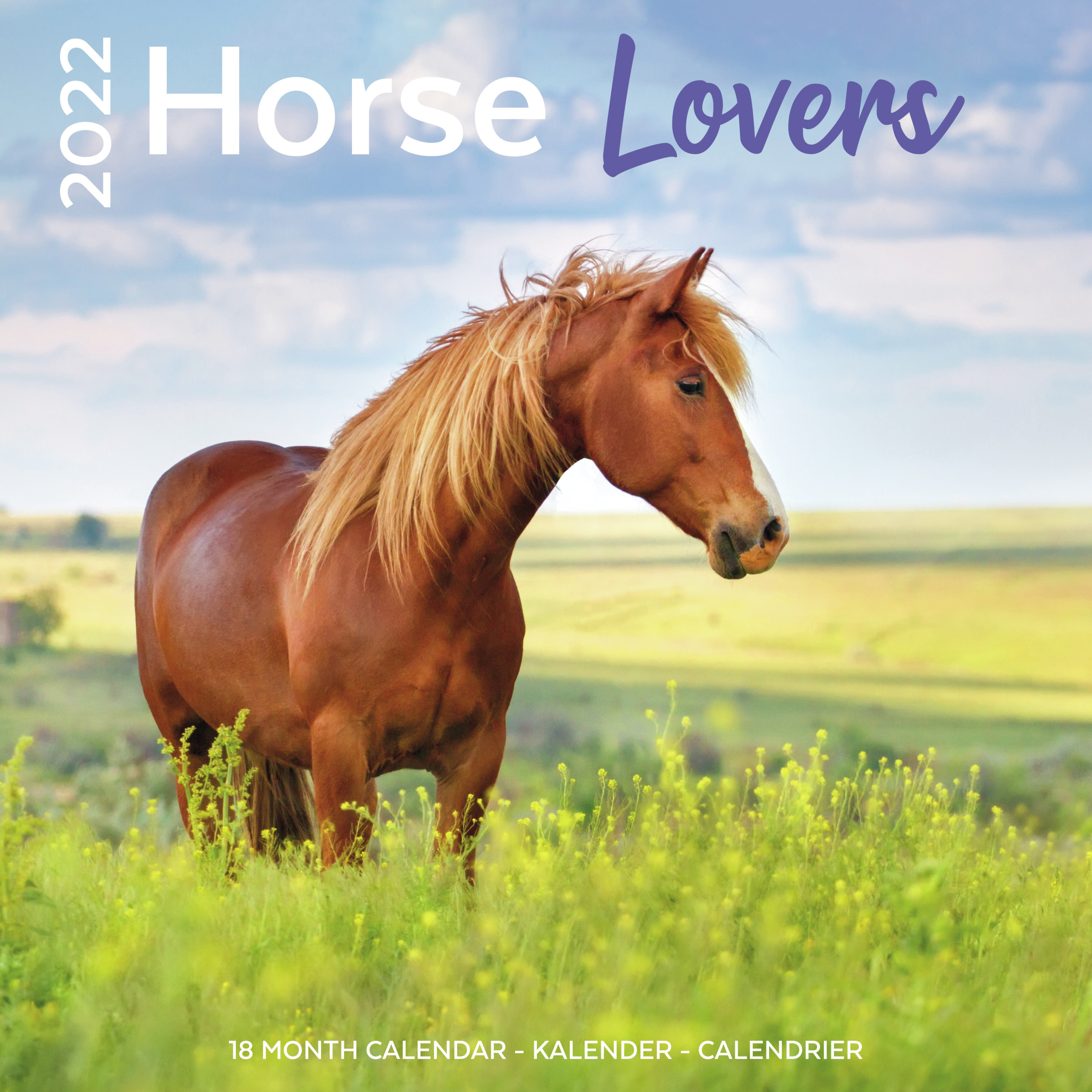 Dieren kalender 2022 paarden 30 cm