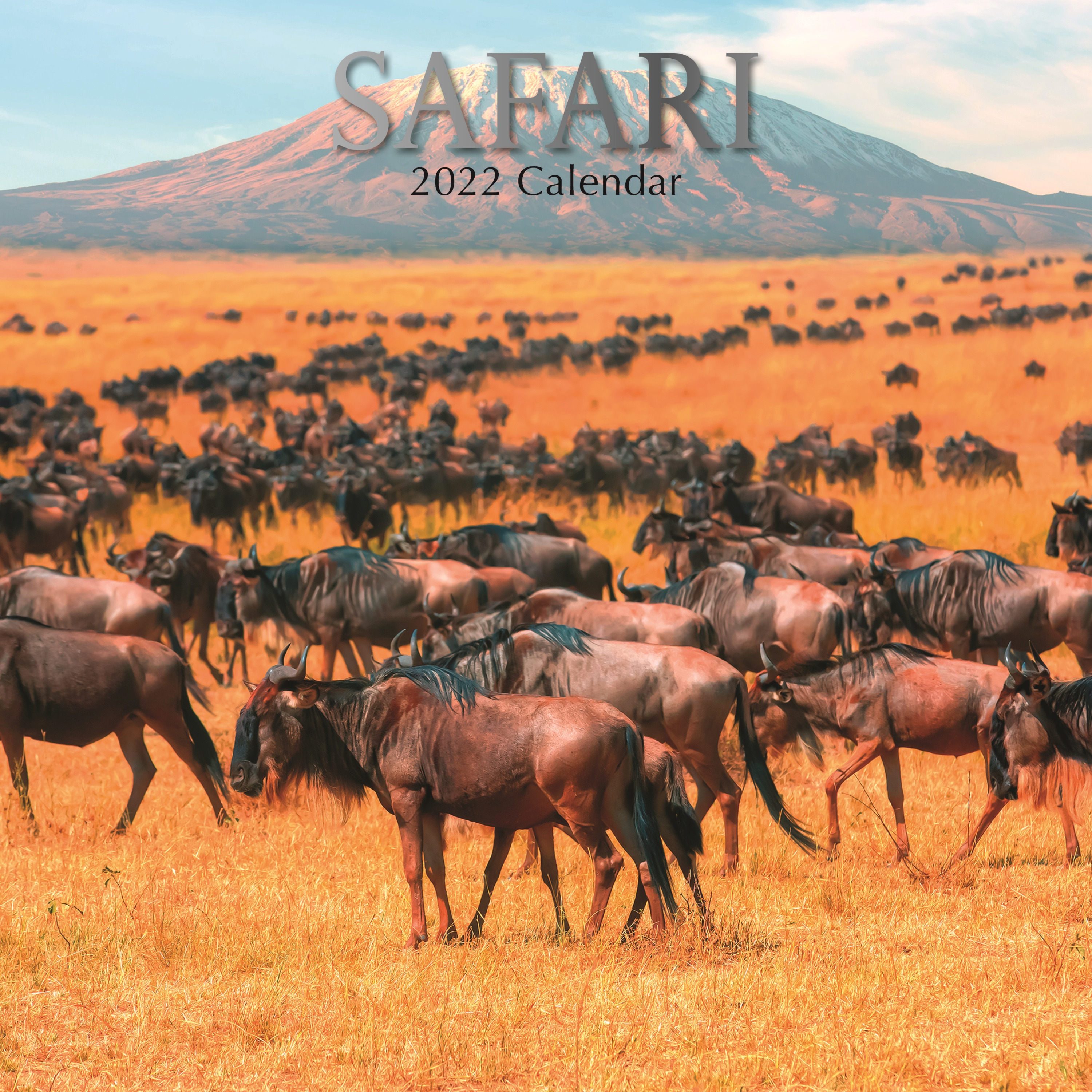 Dieren kalender 2022 safari dieren 30 cm