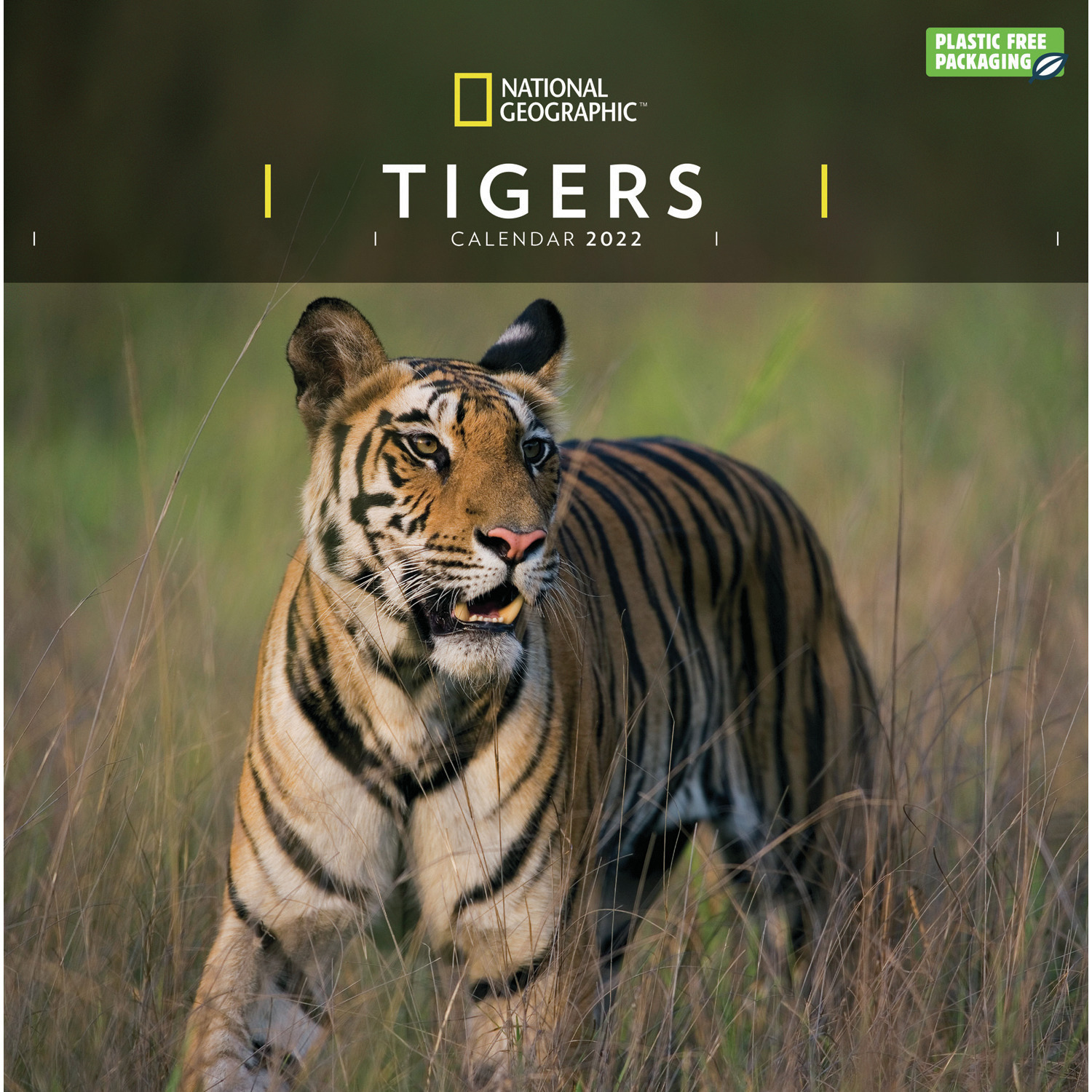Dieren kalender 2022 tijgers National Geographic 30 cm
