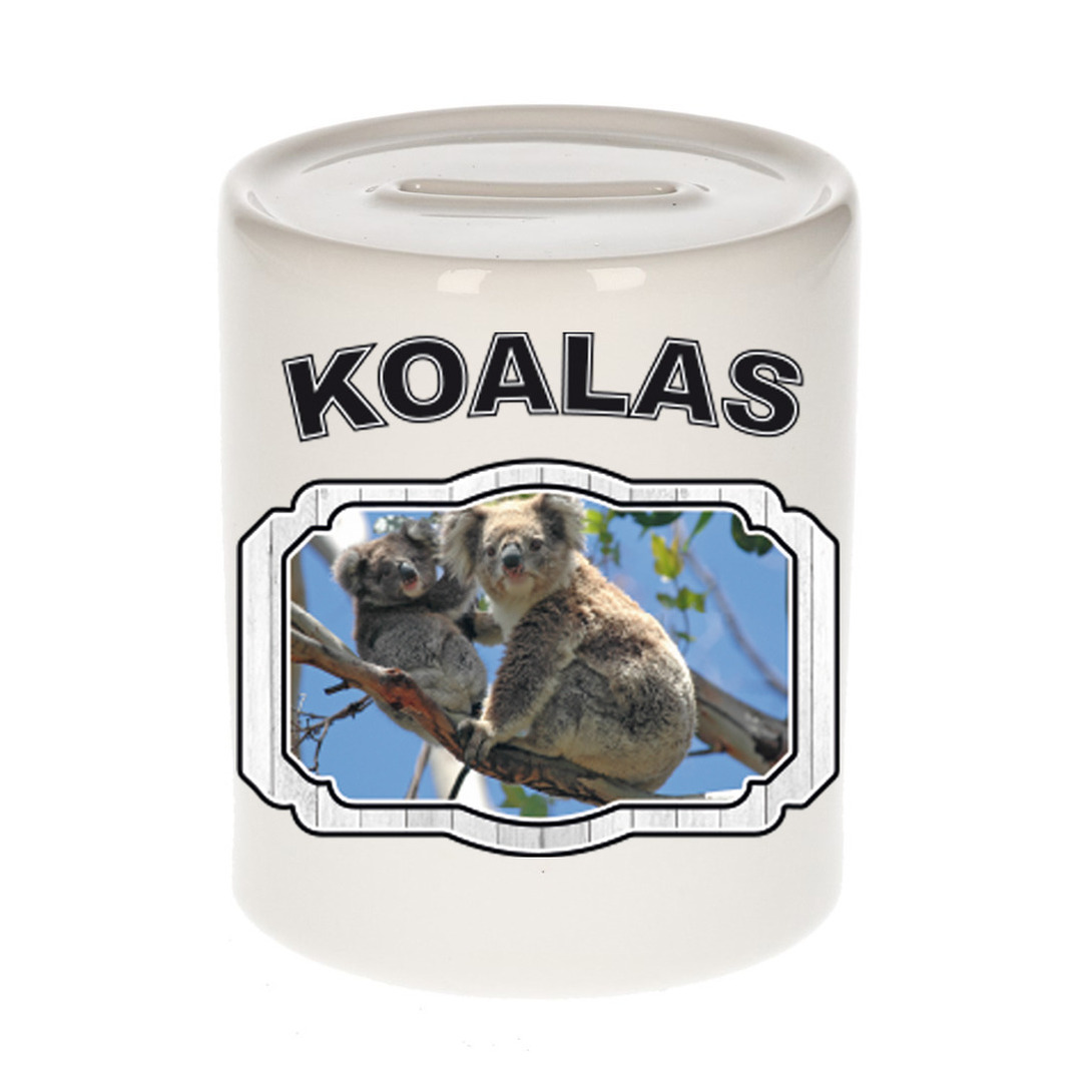 Dieren koala beer spaarpot - koalas/ koalaberen spaarpotten kinderen 9 cm