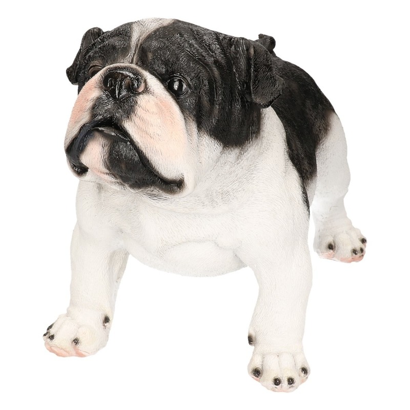 Dierenbeeld Engelse Bulldog staand 41 cm