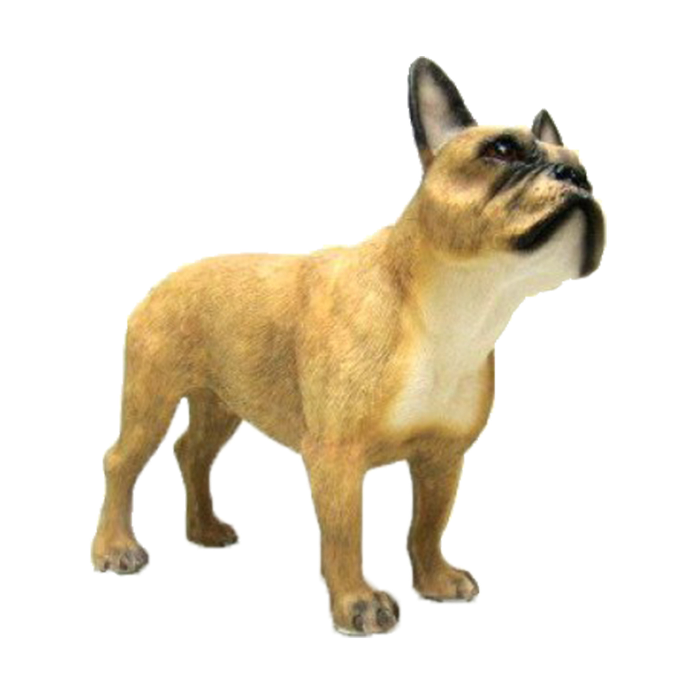 Dierenbeeld Franse bulldog hond 15 cm