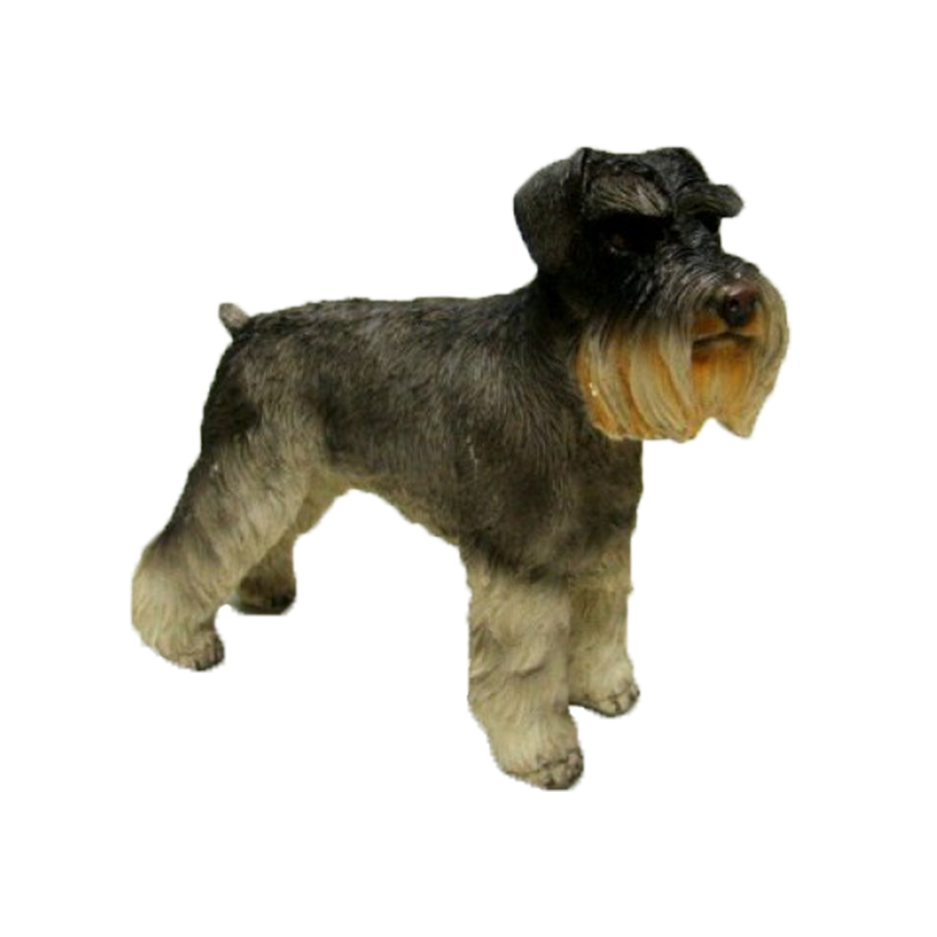 Dierenbeeld Schnauzer hond 15 cm