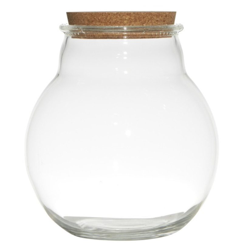 Glazen voorraadpot/snoeppot/terrarium vaas van 19 x 21.5 cm met kurk dop