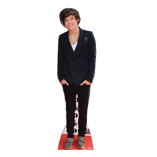 Groot decoratie bord Harry Styles van One Direction 179 cm