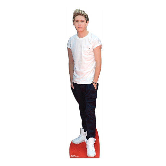 Groot decoratie bord Niall Horan van One Direction 168 cm