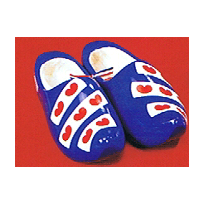 Wooden shoes kids