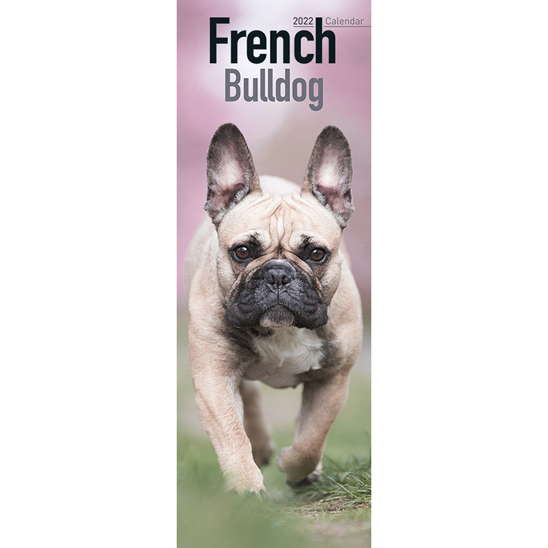 Huisdieren/dieren kalender 2022 Franse Bulldog honden 15 x 42 cm