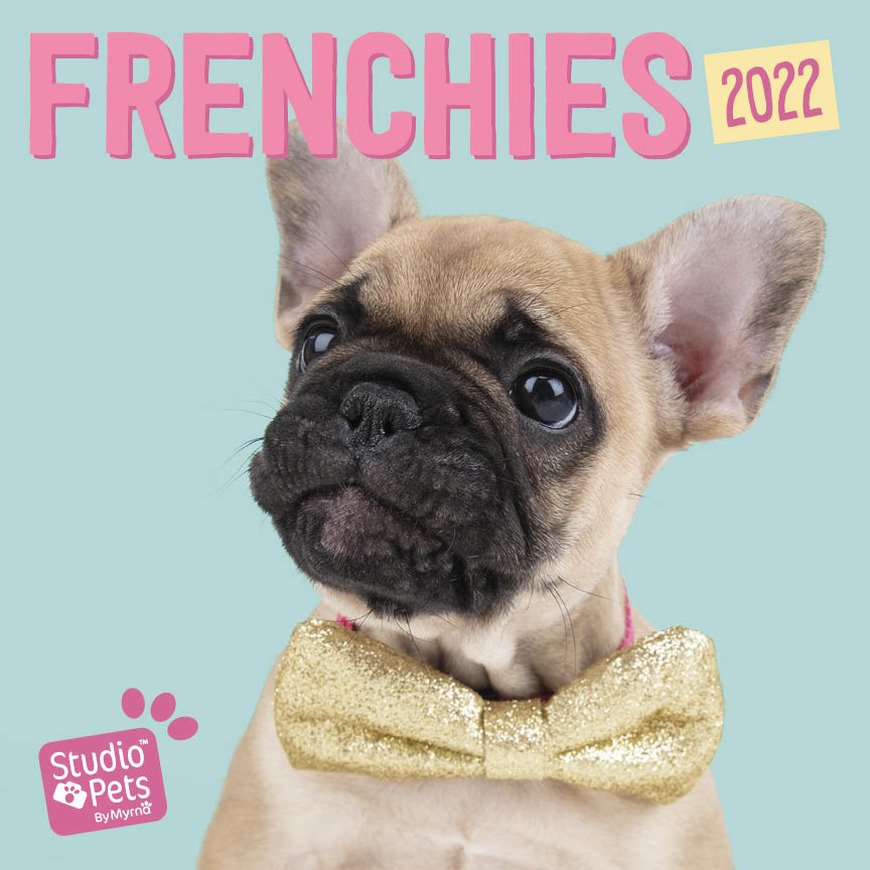 Huisdieren/dieren kalender 2022 grappige Franse Bulldog honden 30 cm