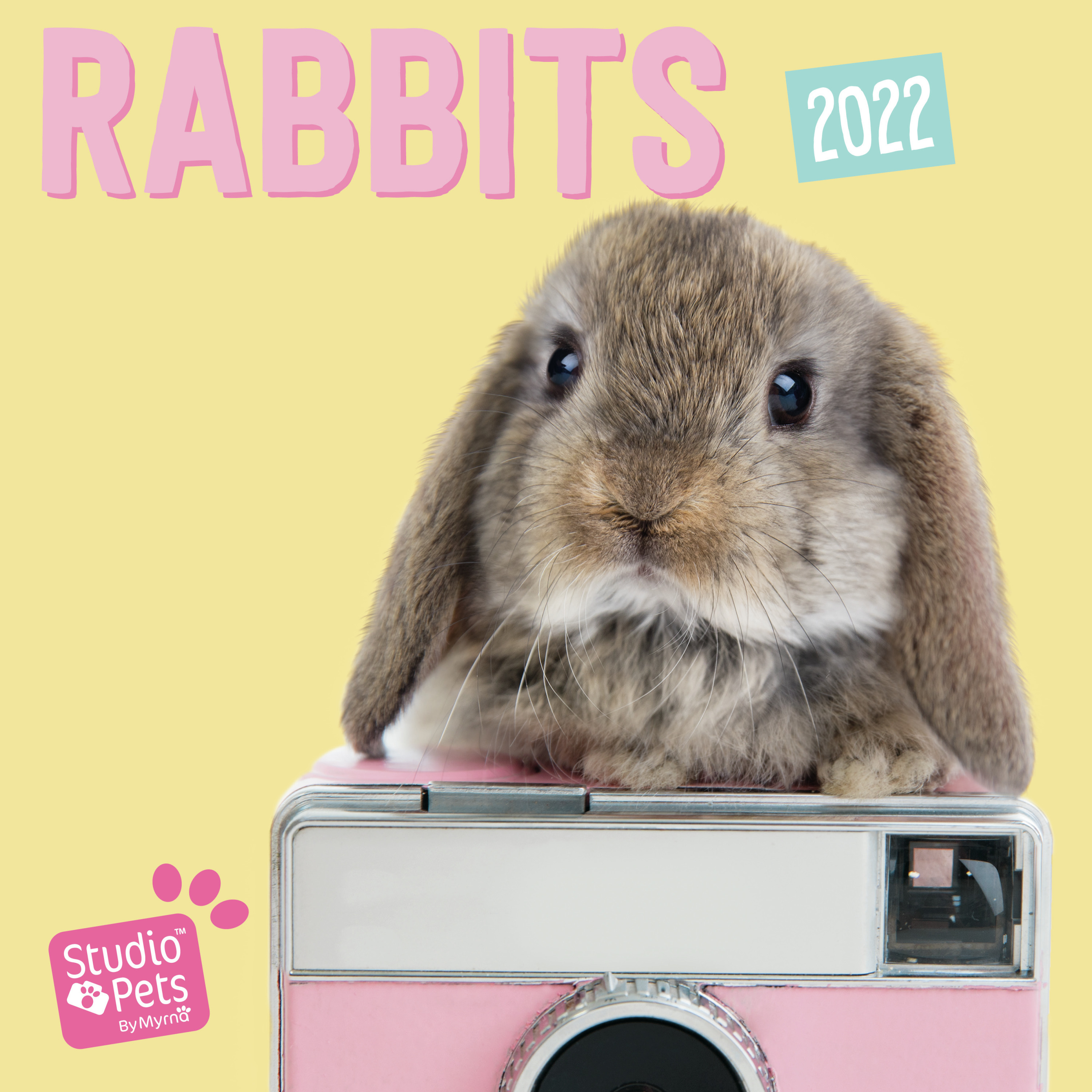 Huisdieren/dieren kalender 2022 grappige konijnen 30 cm