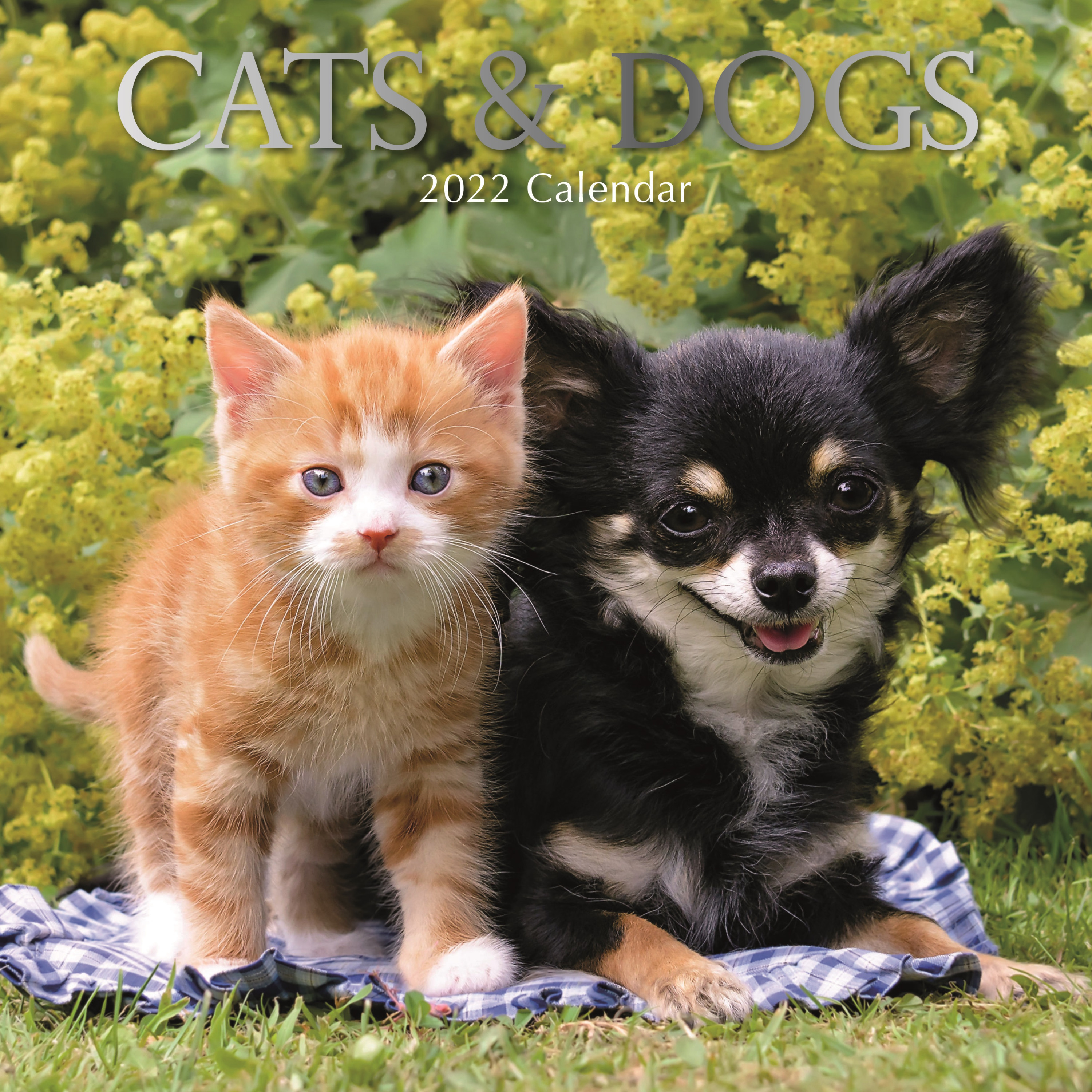 Huisdieren/dieren kalender 2022 katten/poezen en honden 30 cm