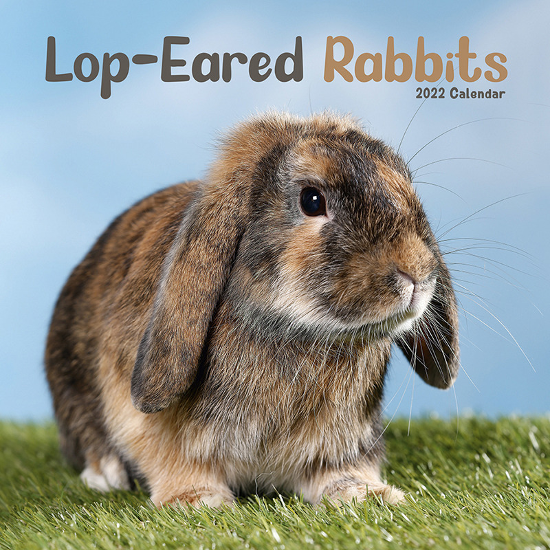 Huisdieren/dieren kalender 2022 konijnen 30 cm