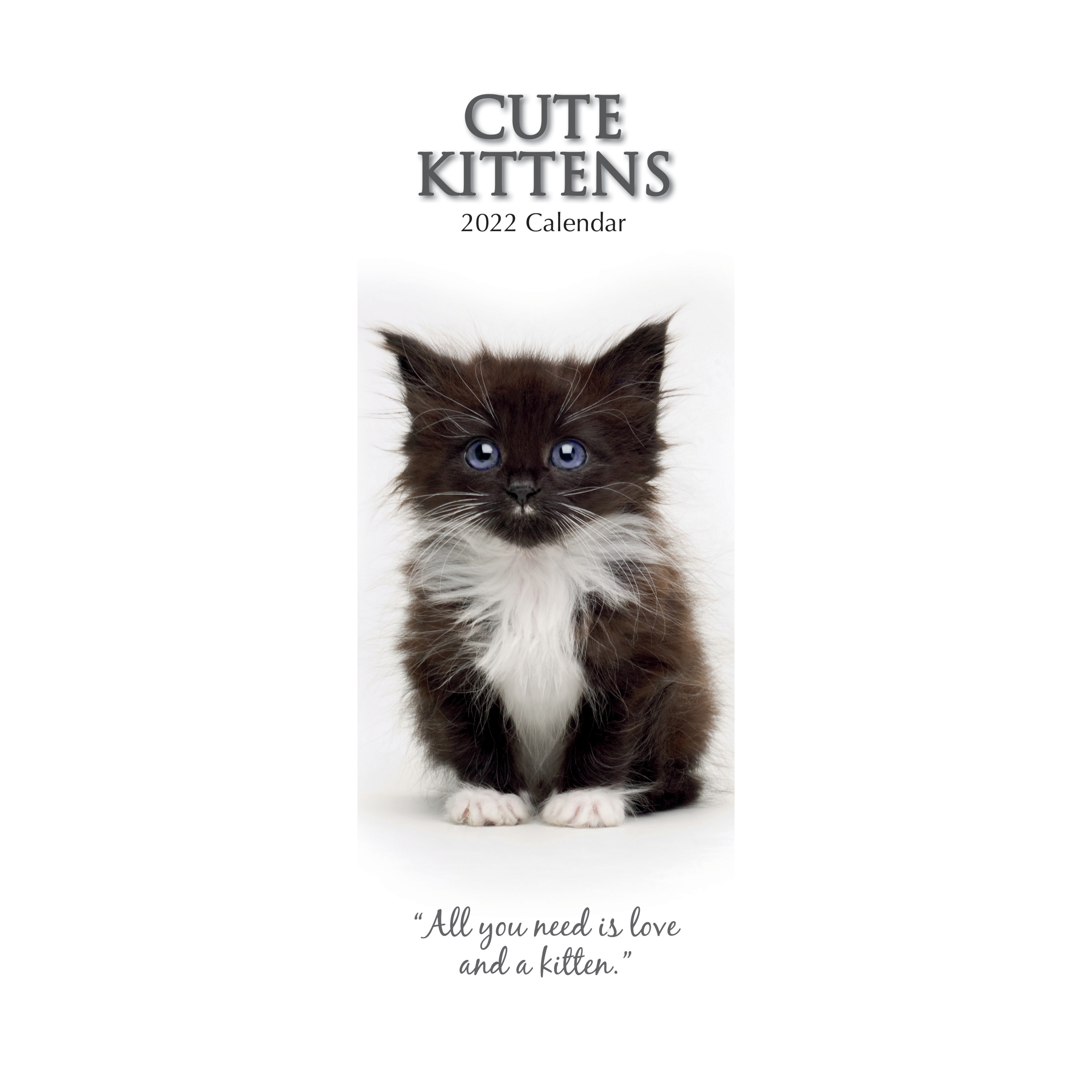 Huisdieren/dieren kalender 2022 schattige katten/poezen kittens 30 cm