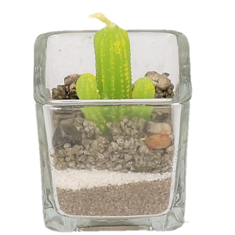 Kaarsje in de vorm van cactus