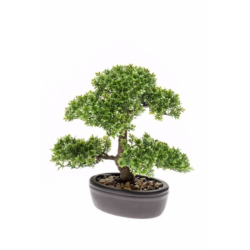 Kantoor kunstboompje Ficus Mini Bonsai 32 cm