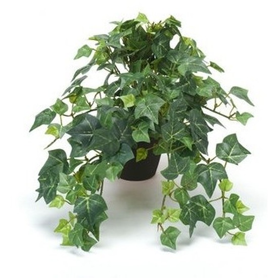 Kantoor kunstplant klimop groen in zwarte pot 30 cm