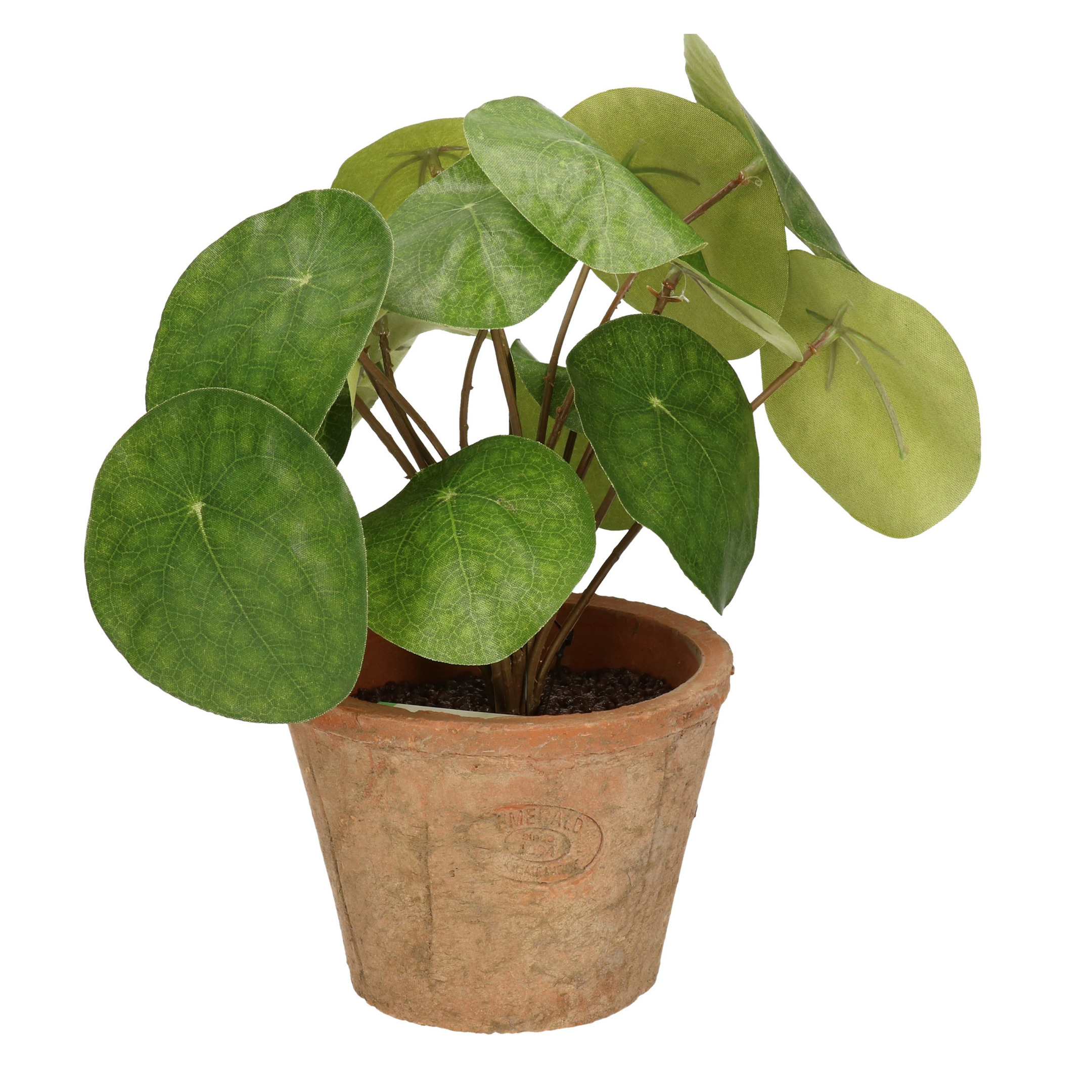 Kantoor kunstplant pilea Pannekoekplant groen in pot 25 cm