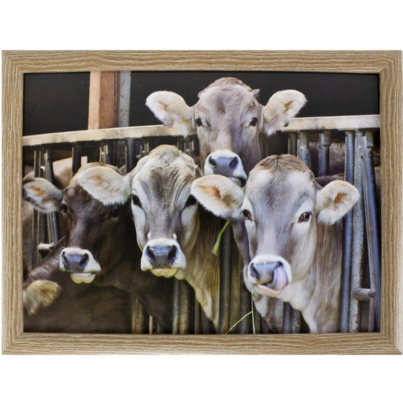 Schootkussen/laptray kalfjes/koeien print 33 x 43 cm