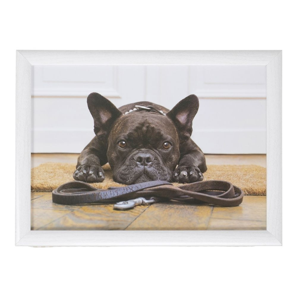 Schootkussen/laptray schattige Franse bulldog honden print 43 x 33 cm