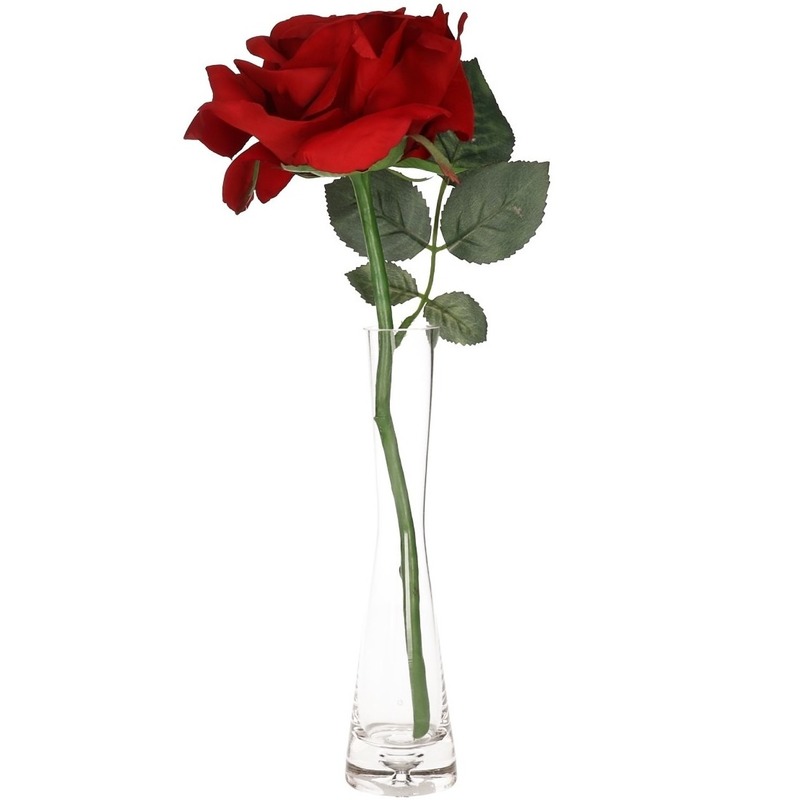 Valentijnscadeau rode roos 31 cm in smalle vaas