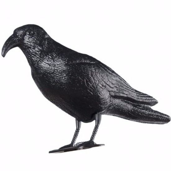Vogelverschrikker/ duivenverjager raaf/zwarte kraai van plastic