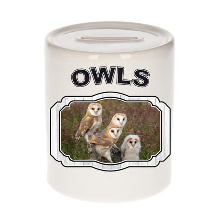 Animal barn owls money box white 300 ml