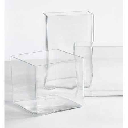 Hoge vaas/accubak transparant glas rechthoekig 20 x 10 x 30 cm