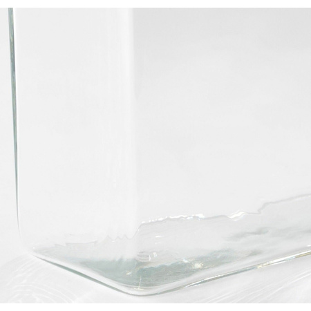 Hoge vaas/accubak transparant glas rechthoekig 20 x 10 x 30 cm