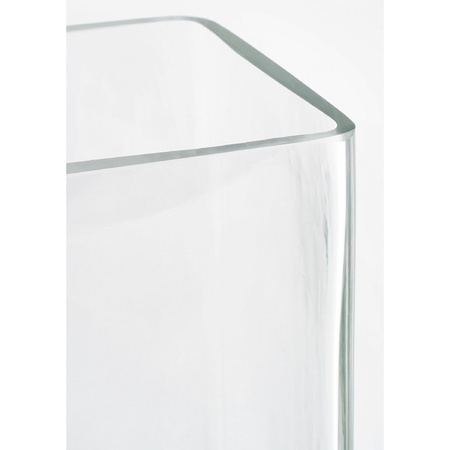 Hoge vaas/accubak transparant glas rechthoekig 30 x 10 x 20 cm