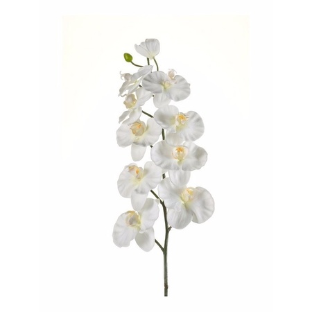Plastic Phalaenopsis bloem wit