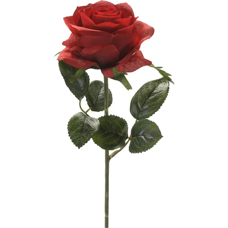 Valentijnscadeau rode roos 45 cm met bordeauxrode rozenblaadjes