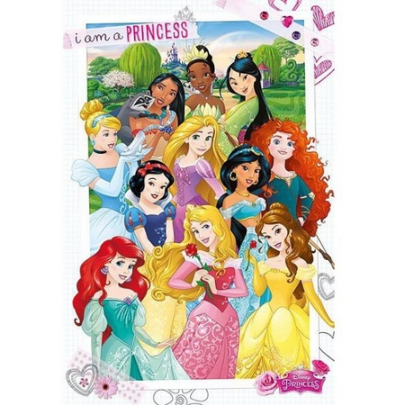Prinsessen poster voor meisjes