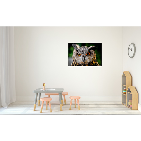 Poster natuur Oehoe uil 84 x 59 cm