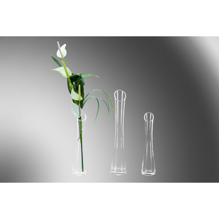 Transparante flutes vaas/vazen van glas 25 x 6 cm