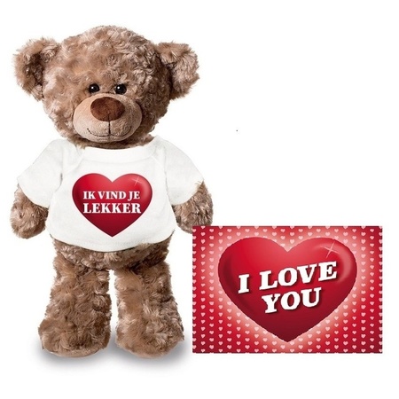 Pluche ik vind je lekker teddybear with Valentines postcard 